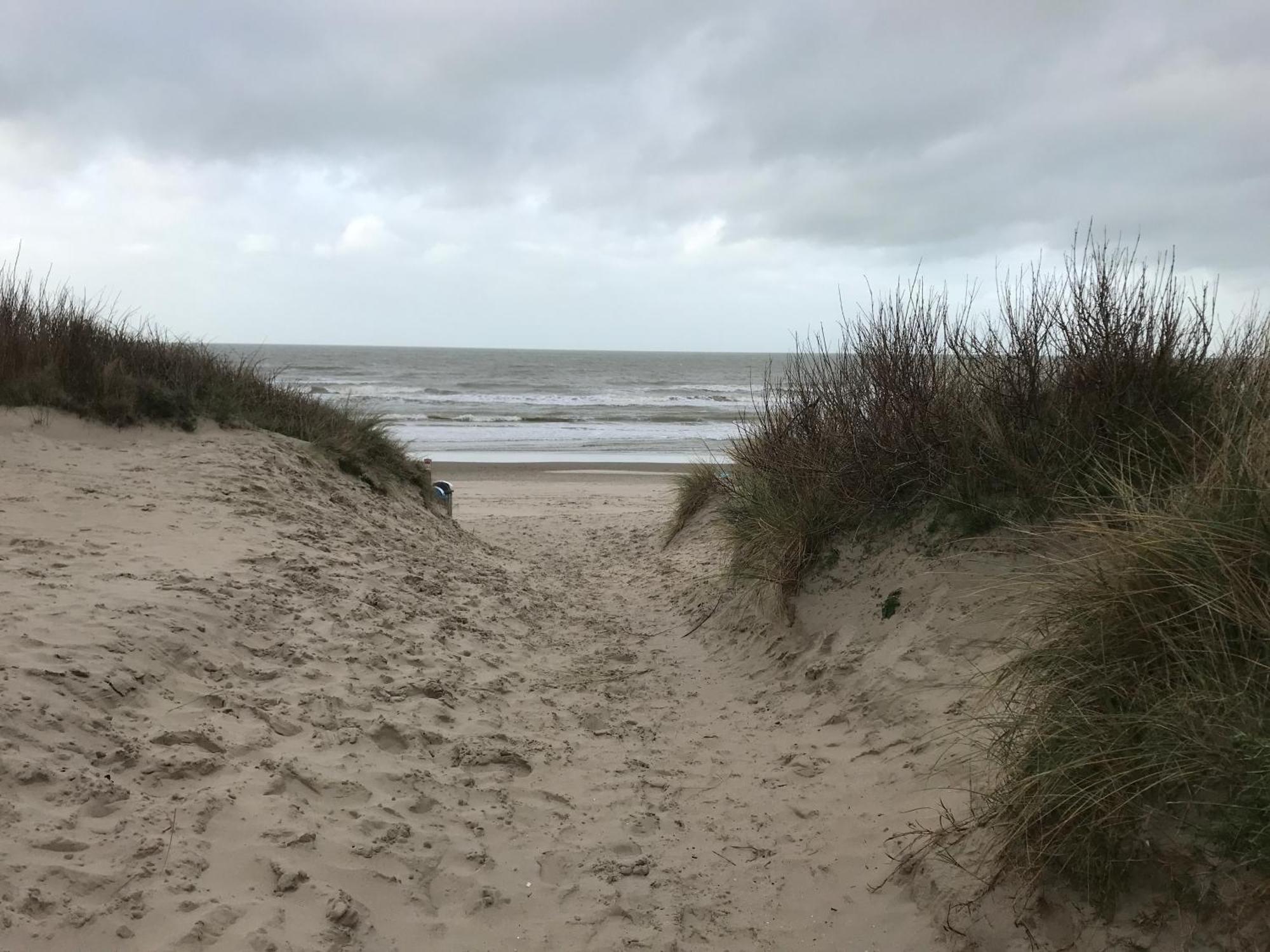 Duplex Penthouse Super Zeezicht Apartment De Panne Bagian luar foto
